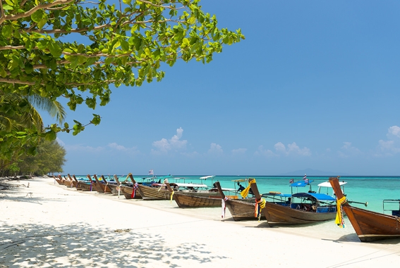 bamboo island